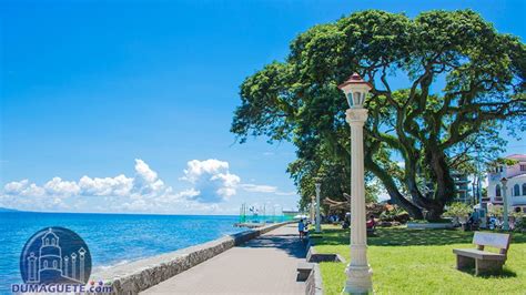 dumaguete tourist spots|8 Unforgettable Dumaguete Tourist Spots for First .